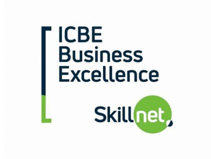 business-excellence-skillnet